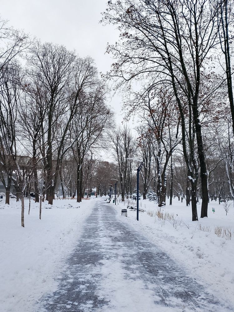 Photograph by Адамян Анна