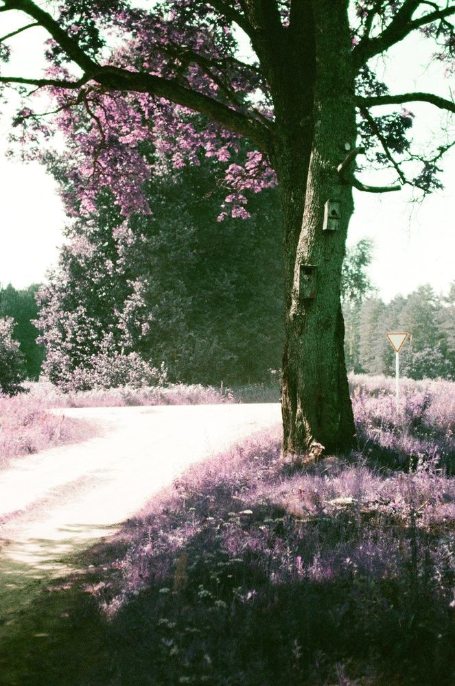 Photograph by Василий Селиванов