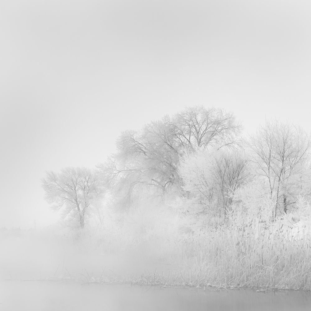 Photograph by Толстоноженко Илья