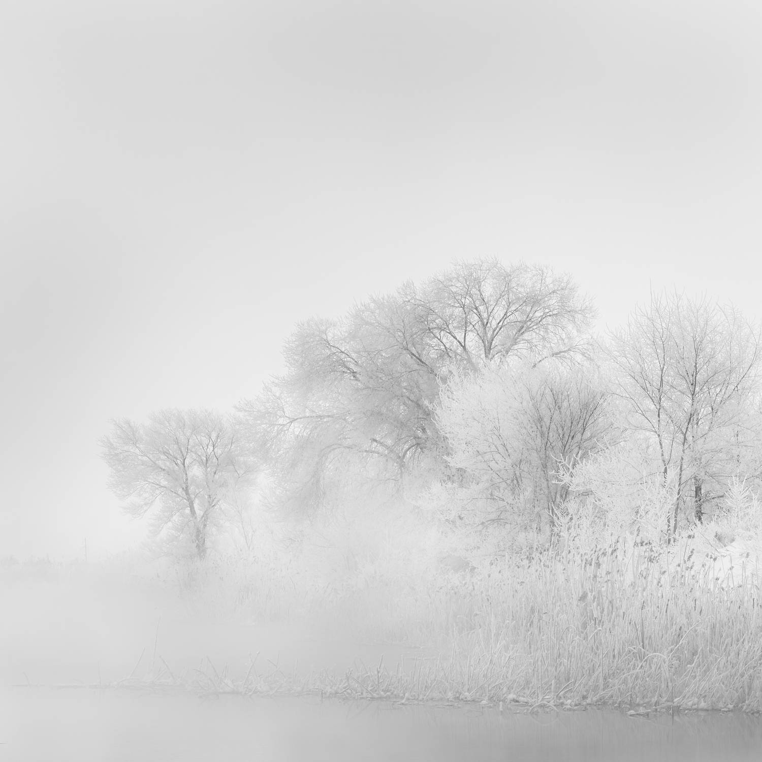 Photo #13064642