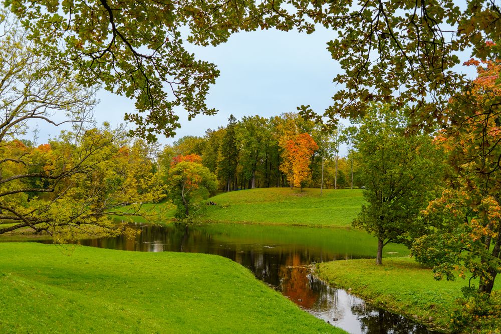Photograph by Владимир Рогулькин