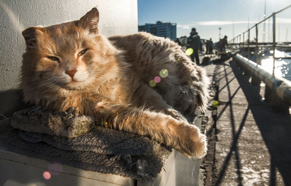 Photograph by Виктор Черкасов