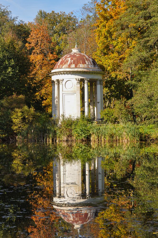 Фотография автора Елизавета Синицына