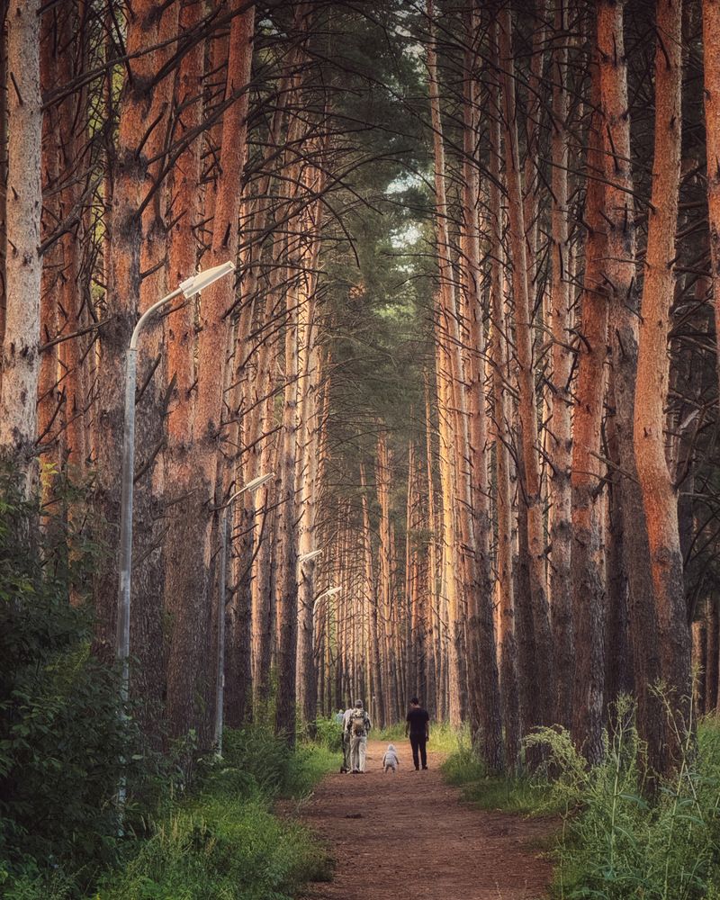 Photograph by Кира Бахвалова