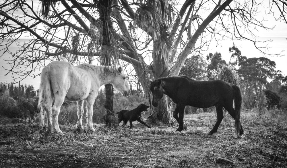 Photograph by Виктор Черкасов