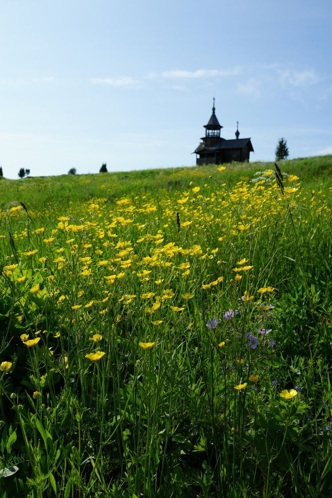 Photograph by Василий Селиванов