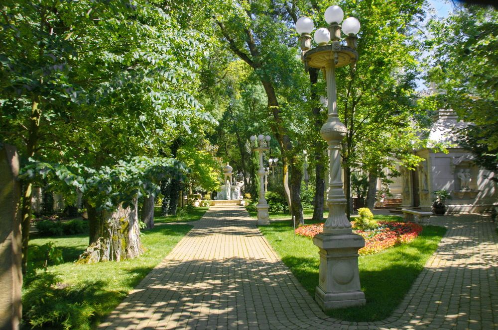 Photograph by Александр Поборчий