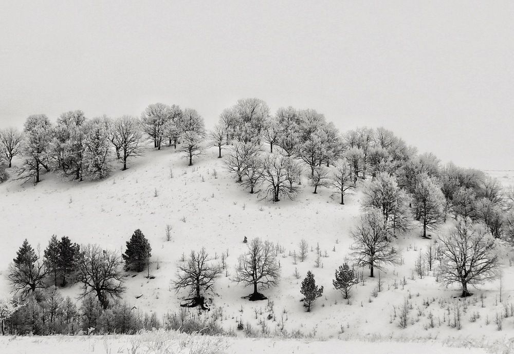 Фотография автора Кира Бахвалова