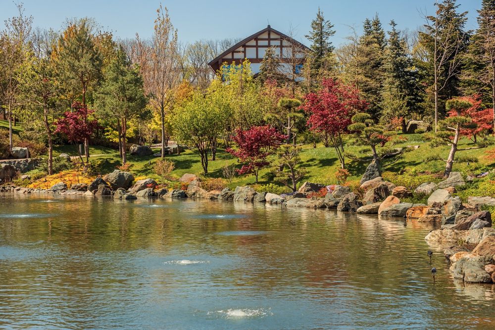 Фотография автора Галина Шепелева