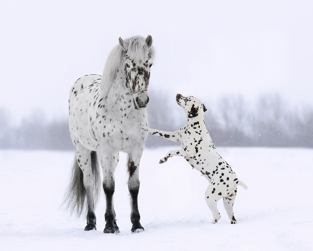 Photograph by Helena