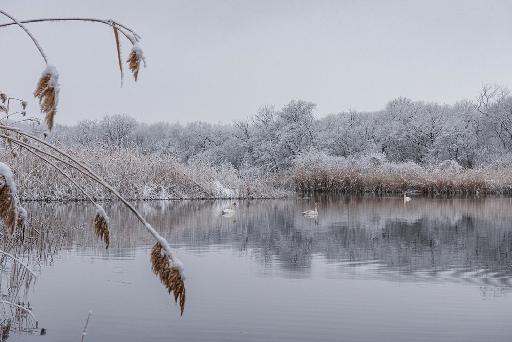 Photograph by Наталия Уракина