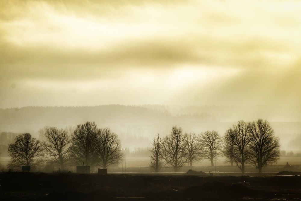 Фотография автора Никита Русецкий