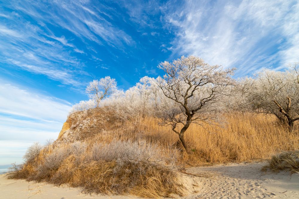 Photograph by Константин Чижов