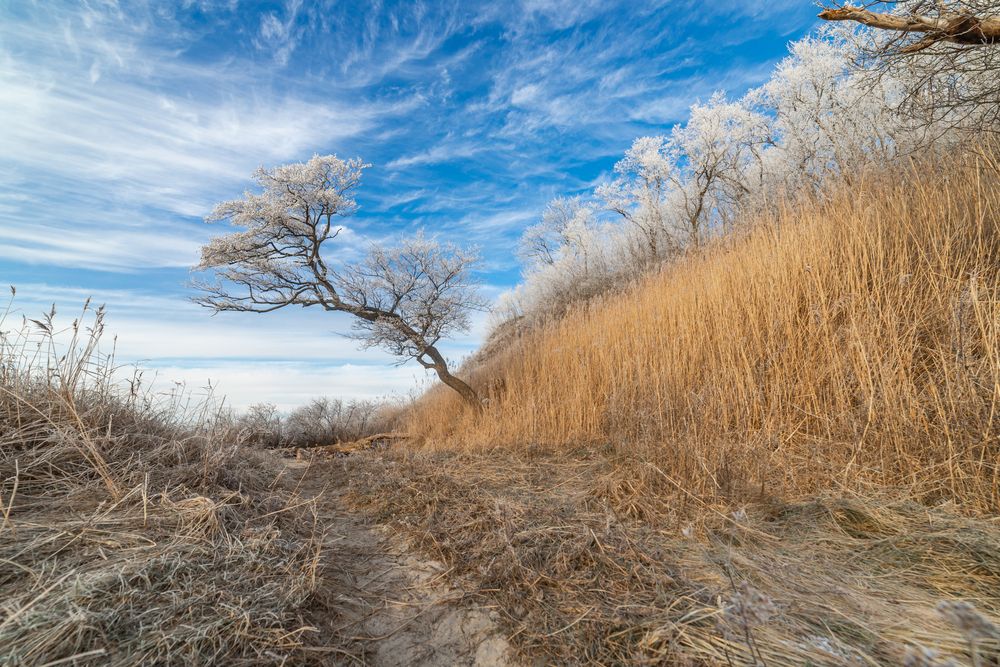 Photograph by Константин Чижов