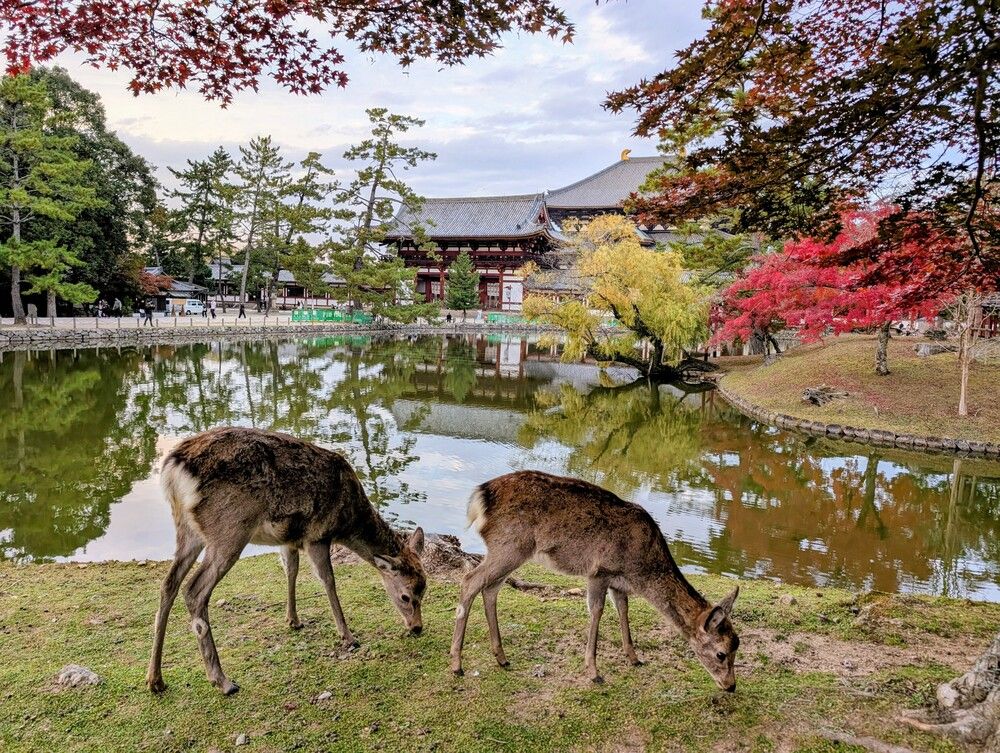 Фотография автора Елизавета