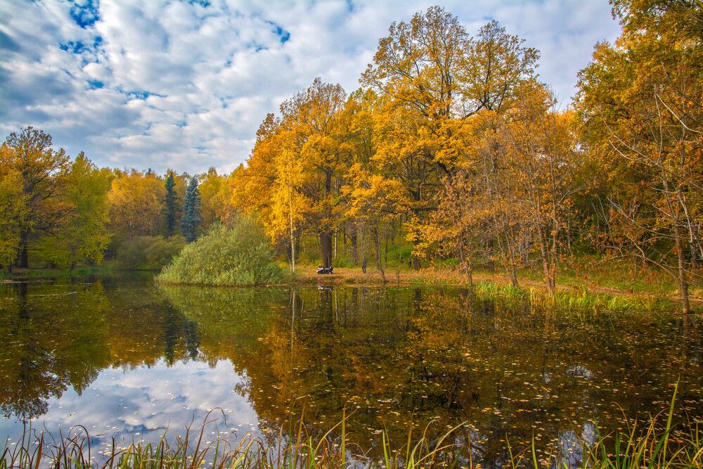 осенние зарисовки