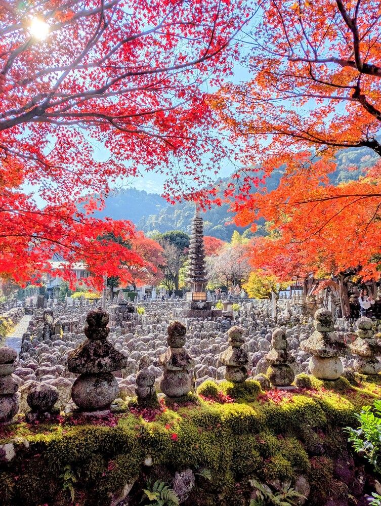 Фотография автора Елизавета