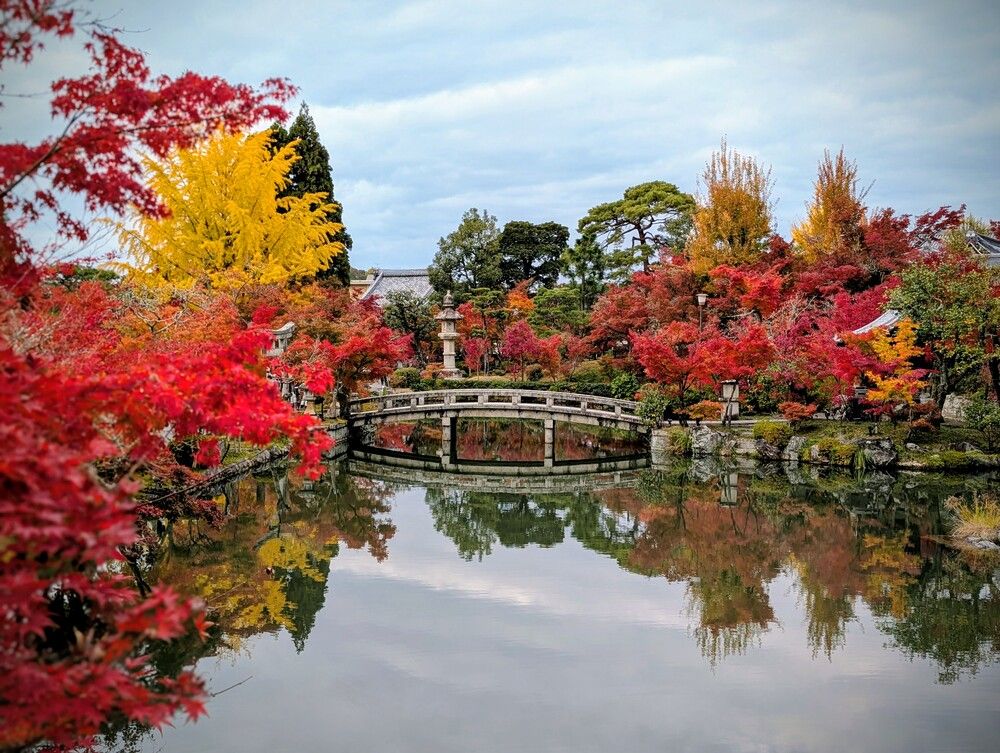 Фотография автора Елизавета