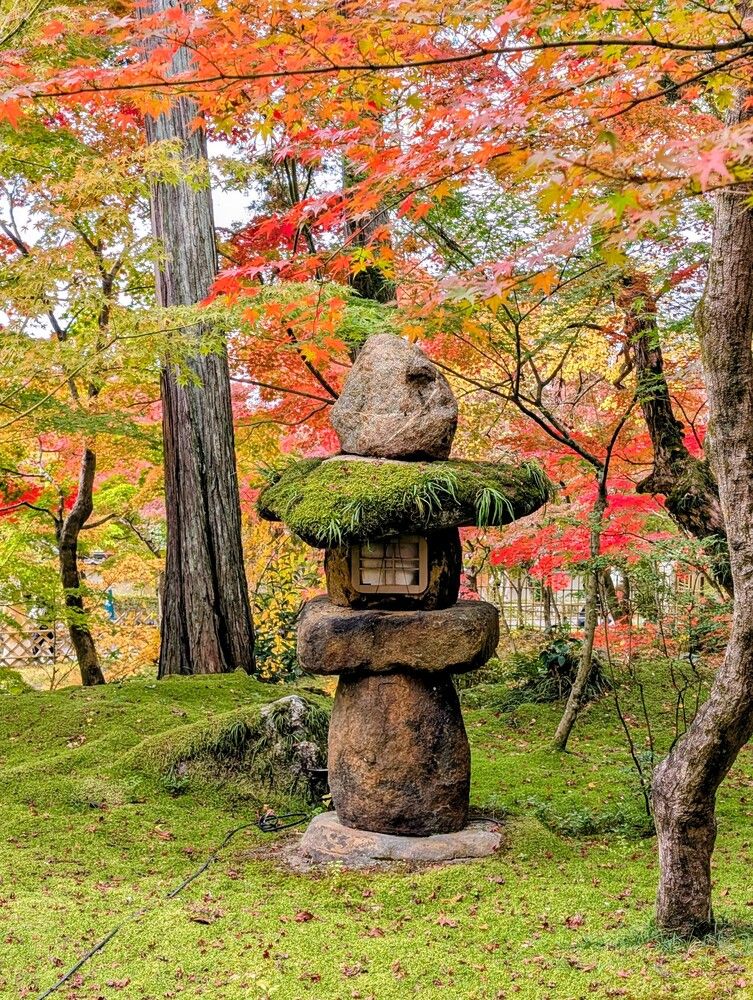 Фотография автора Елизавета