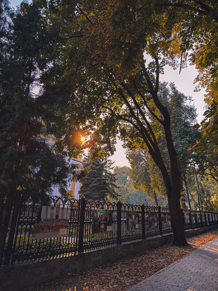 Photograph by Анна Пигулевская