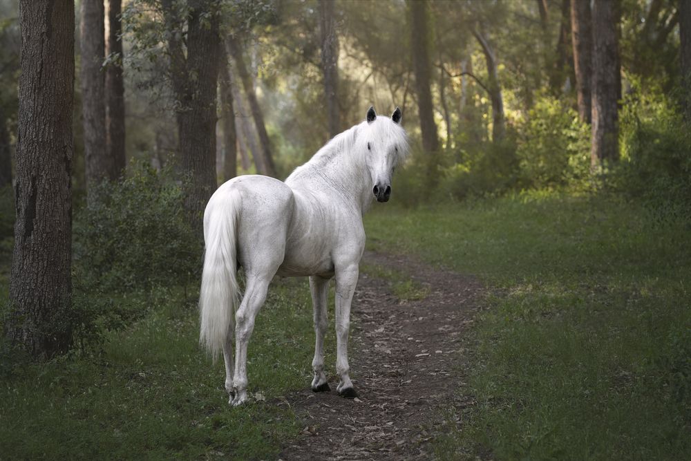 Like in a fairy tale