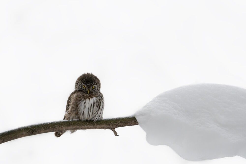 Photograph by Илья Горшенков