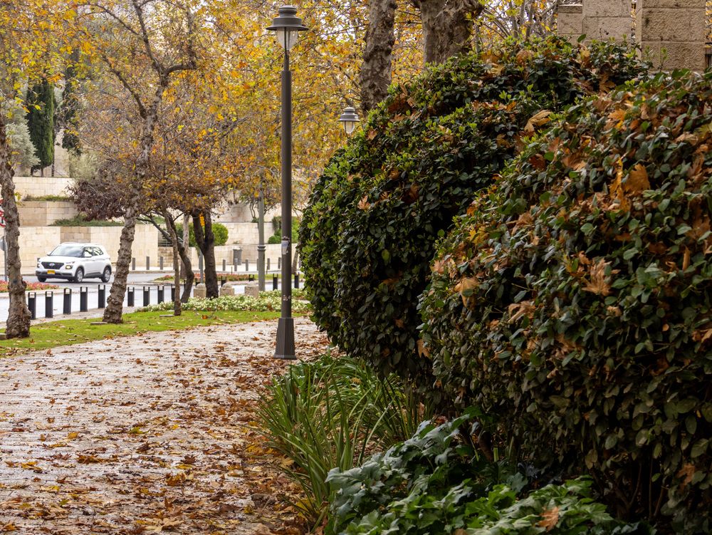 Photograph by Светлана Ханина