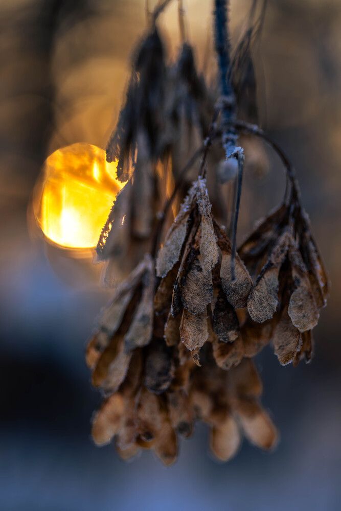 Photograph by Альфия Галеева