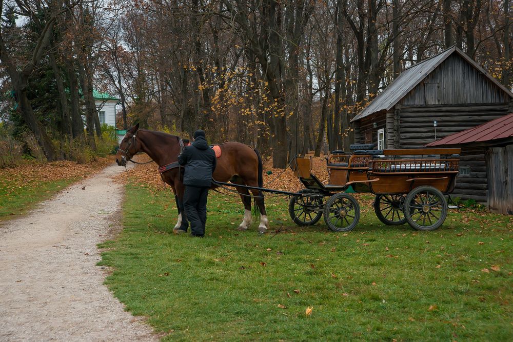 Photograph by Андрей Чуйков