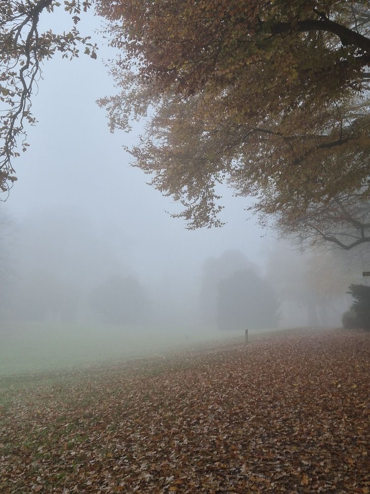 Фотография автора Cozma Mihaela