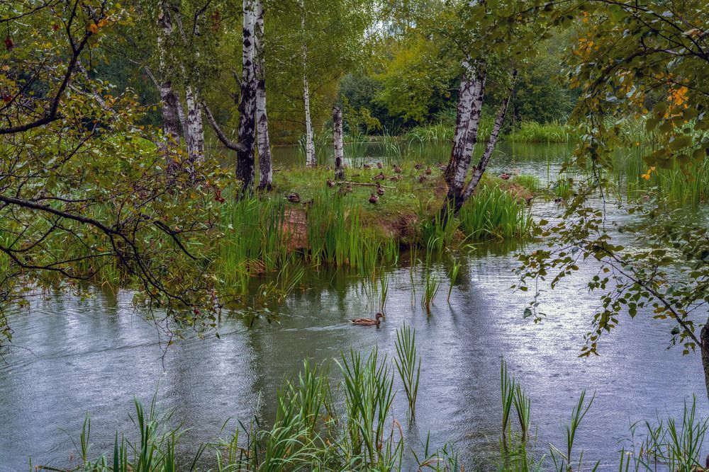 осень в  парке