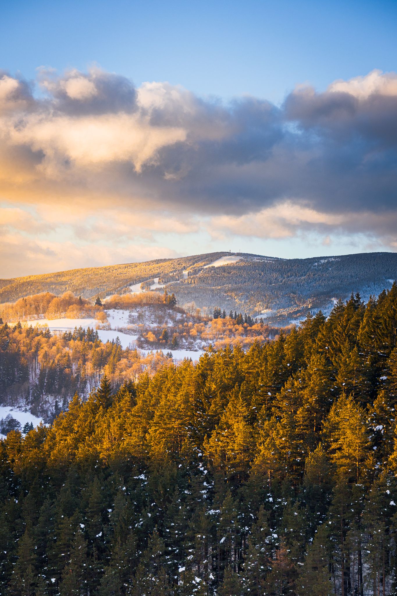 Landscape of a little knoll