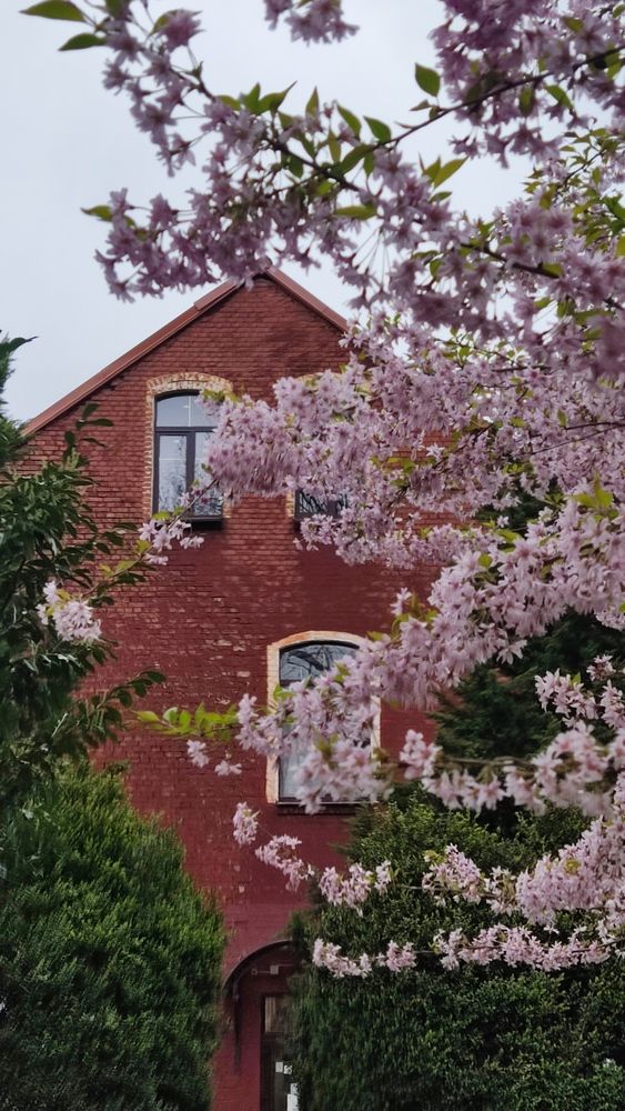 Photograph by Олена Бокова