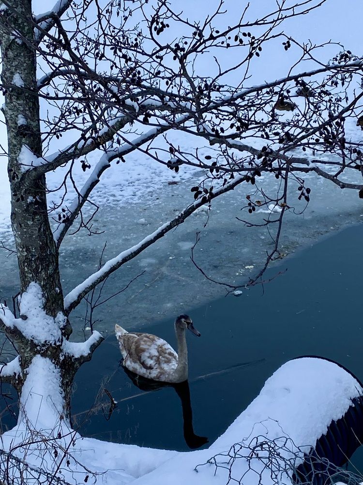 Photograph by Elena Ibragimova