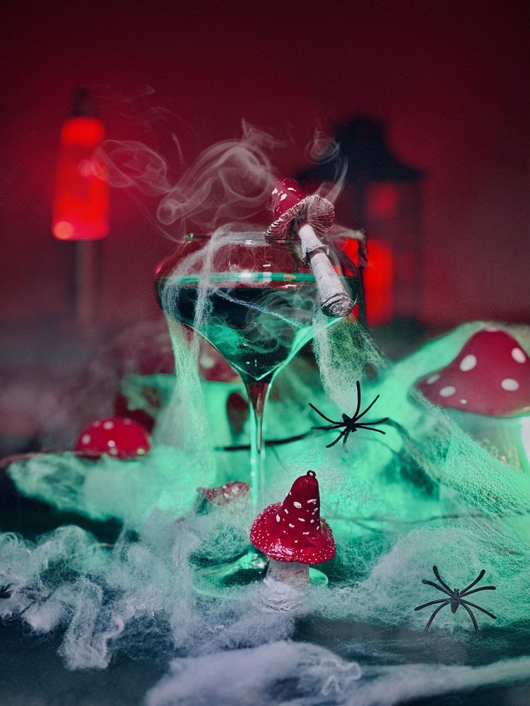 Photograph by Maria Landers