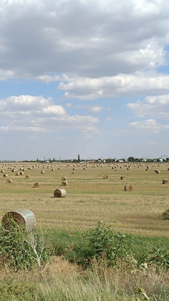 Фотография автора Светлана Анатольевна Чернышова