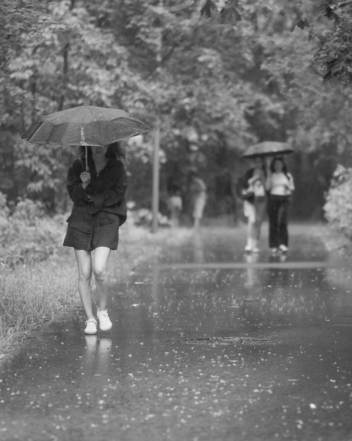 Photo #13064979