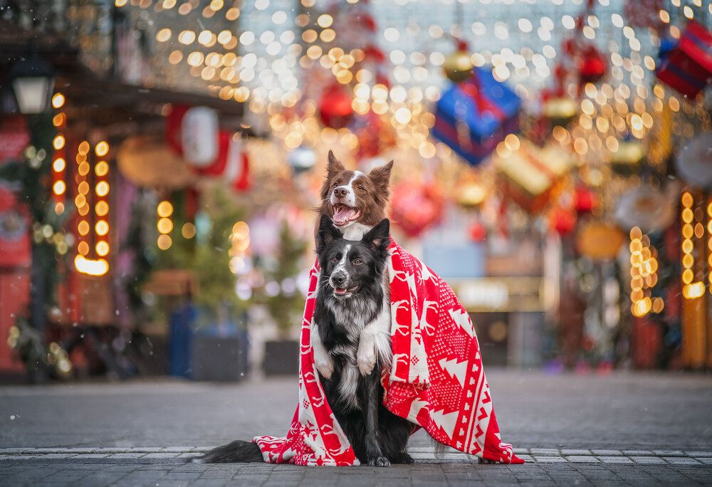 Photograph by Юлия Григорьева