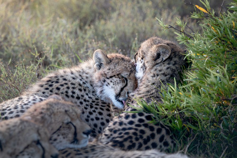 Photograph by Nadine Leonard