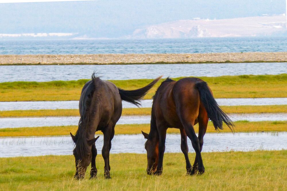 Photograph by Olga Smirnova