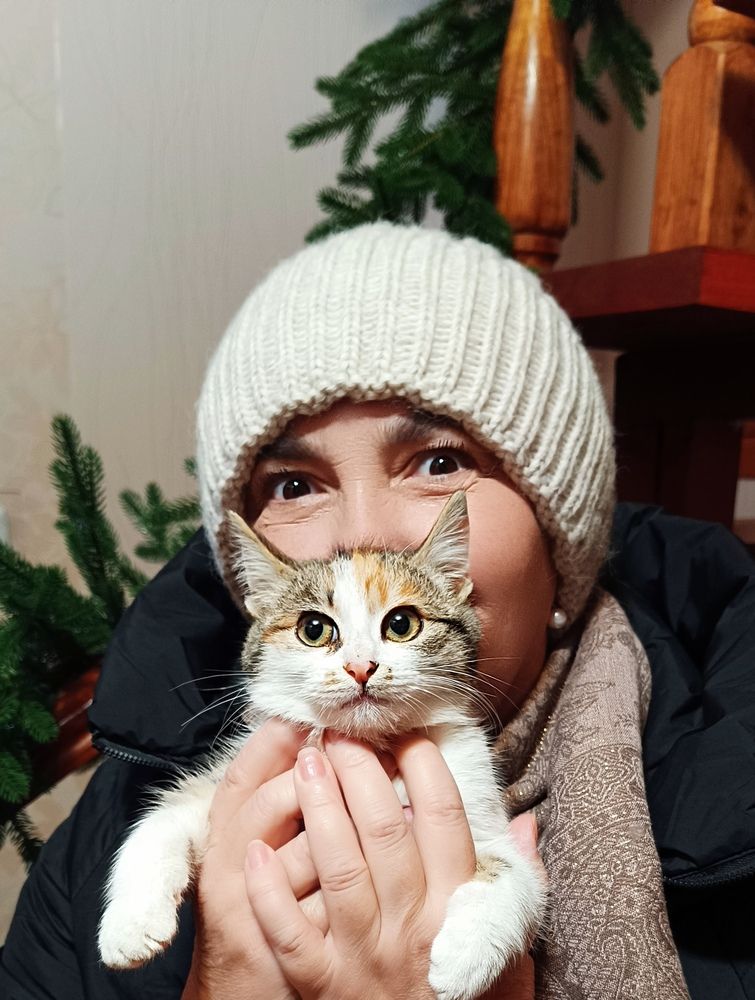 Фотография автора Светлана Анатольевна Чернышова