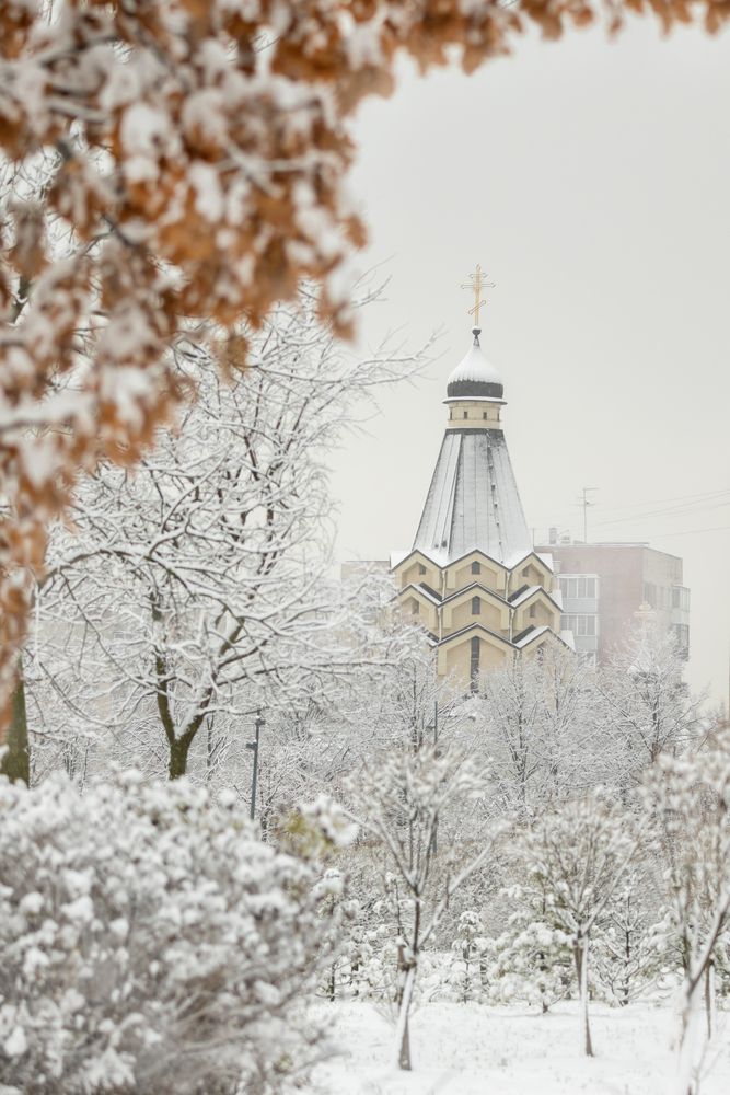 Photograph by Юлия Куликова