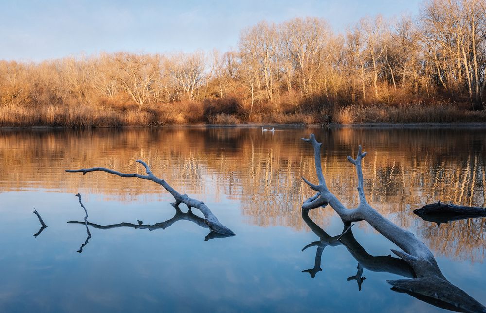 Photograph by Наталия Уракина