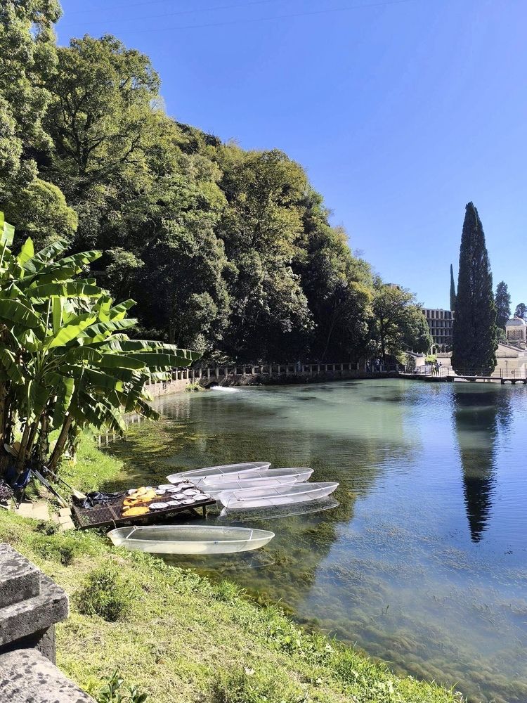 Фотография автора Наталья Гузева