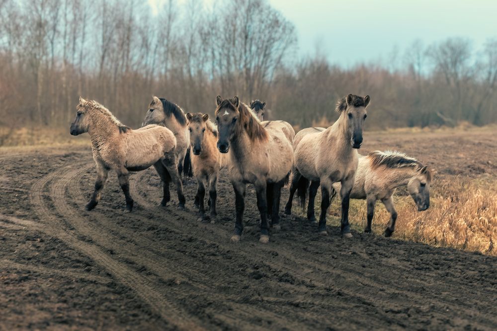 Фотография автора Валерия Трейтяк
