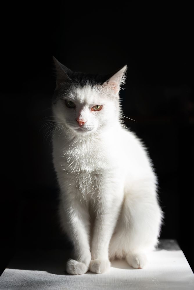 Photograph by Наталия Уракина