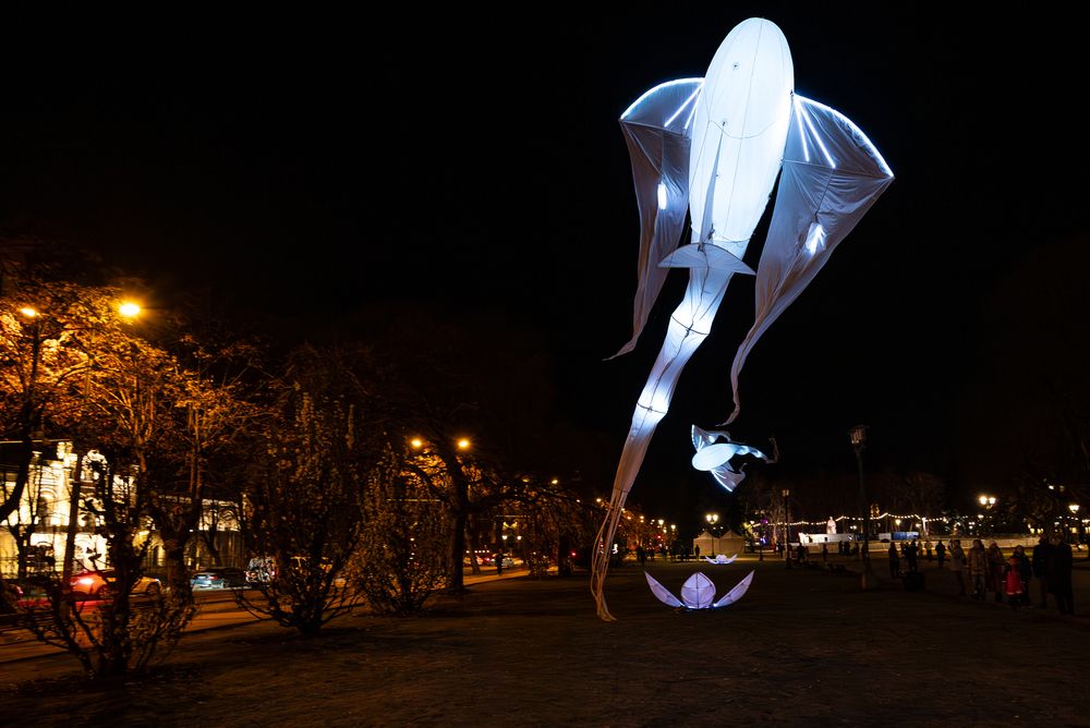 Фотография автора Ivars Andrups