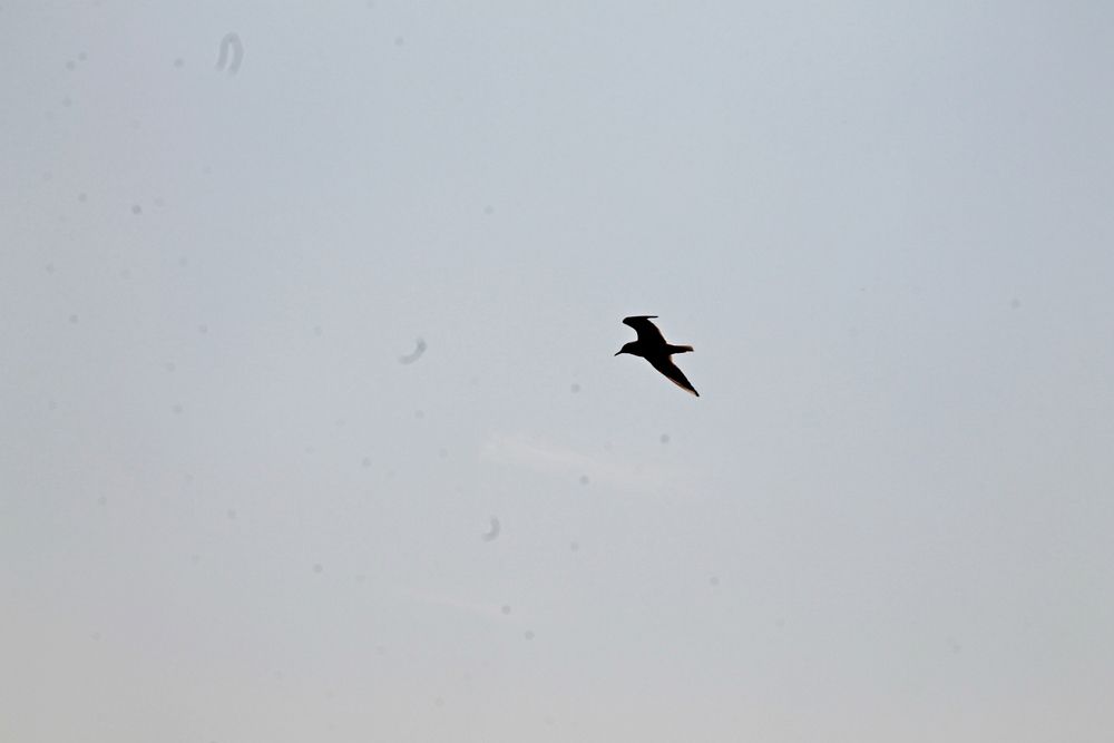 Photograph by Дмитринёв Глеб
