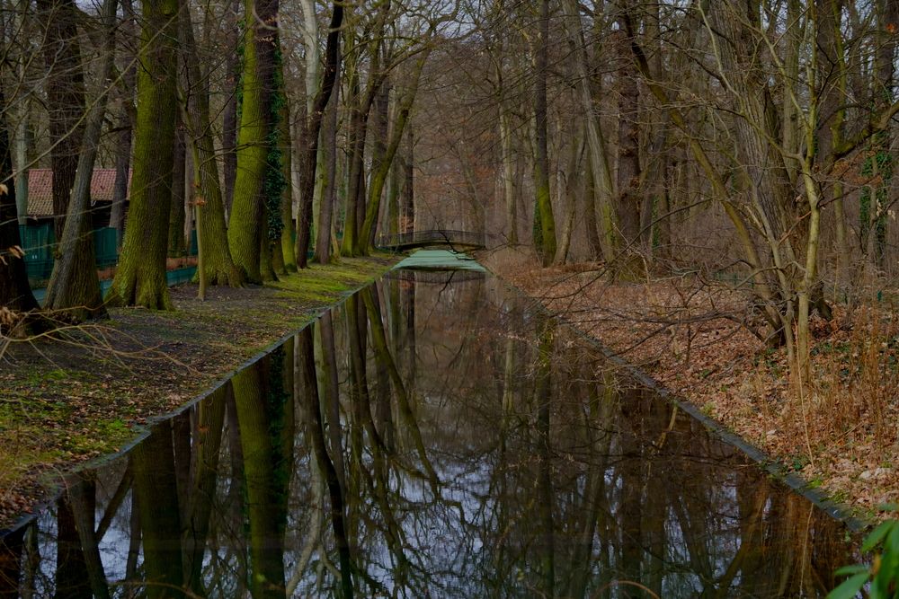 Photograph by Sergej Roor