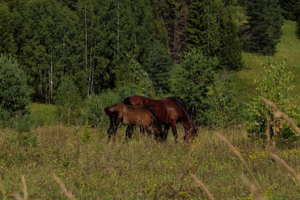 Фотография автора Иван Татауров